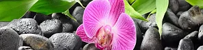 Фартук для кухни Орхидея 
