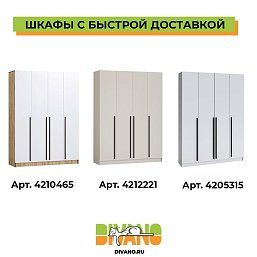 Шкаф распашной Бастион 4-дверный без зеркал 1.6 м
