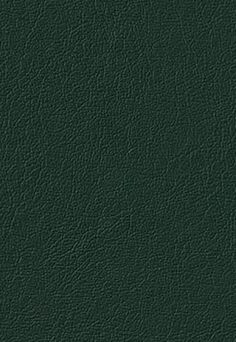 Вешалка Благо Б5.8-9 дизайн 5, Бежевый